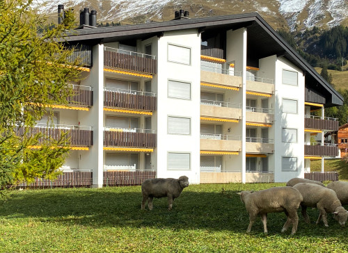 Hausansicht Sommer 