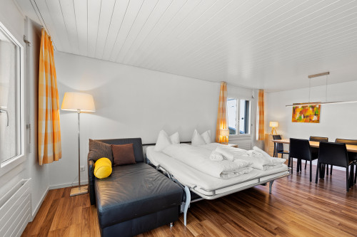 Sofabett im Wohnbereich