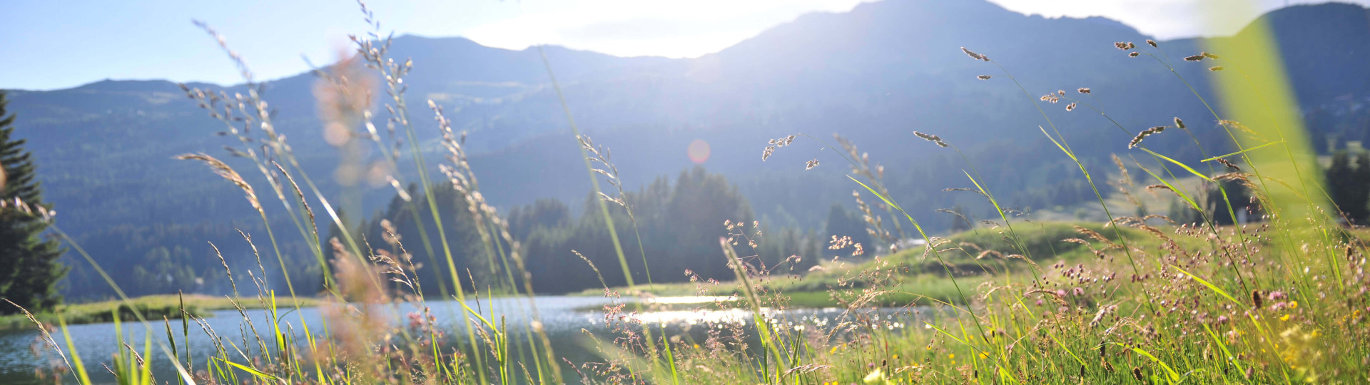 Foto Ferienregion Lenzerheide
